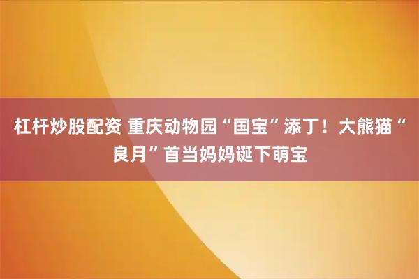 杠杆炒股配资 重庆动物园“国宝”添丁！大熊猫“良月”首当妈妈诞下萌宝