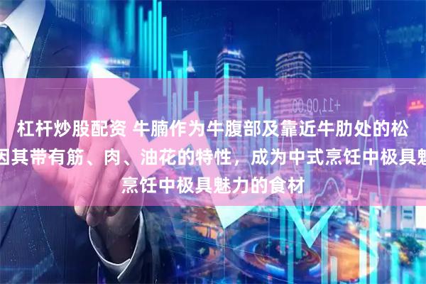 杠杆炒股配资 牛腩作为牛腹部及靠近牛肋处的松软肌肉,因其带有筋、肉、油花的特性,成为中式烹饪中极具魅力的食材